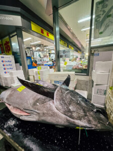 Sourcing Fresh Seafood: Fresh suzuki, otoro, and sea urchin selected at Toyosu Market for Sushi Masa Singapore.