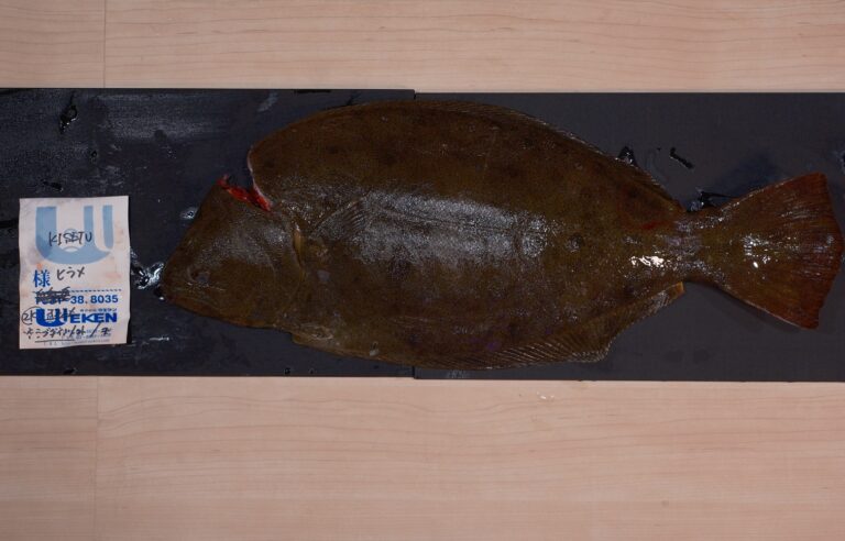 Omakase in SG : Fresh fish flown in daily from Japan, crafted into exquisite sushi