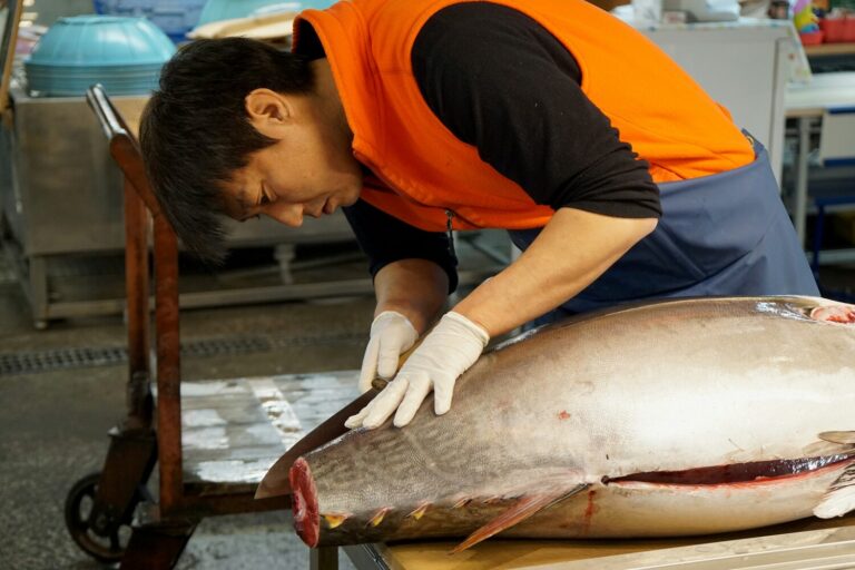 Omakase In SG: Premium sashimi cuts reflecting the artistry of Japanese fine dining