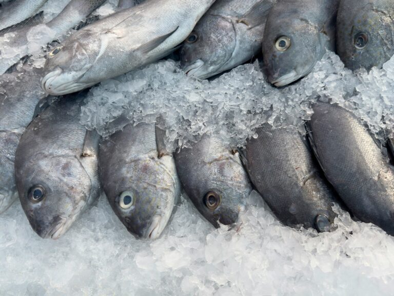 Omakase In SG: Traditional ice-making methods adapted for premium fish storage