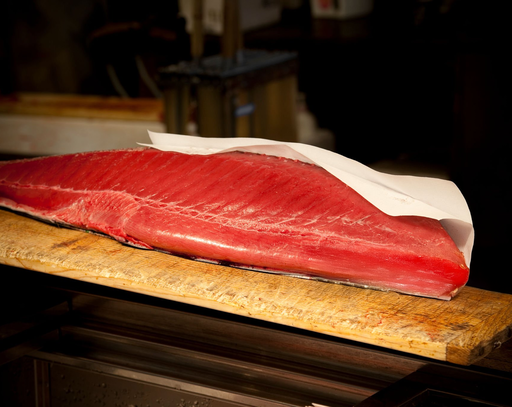 Sushi in Singapore : Premium cuts of sashimi displayed for ultimate freshness