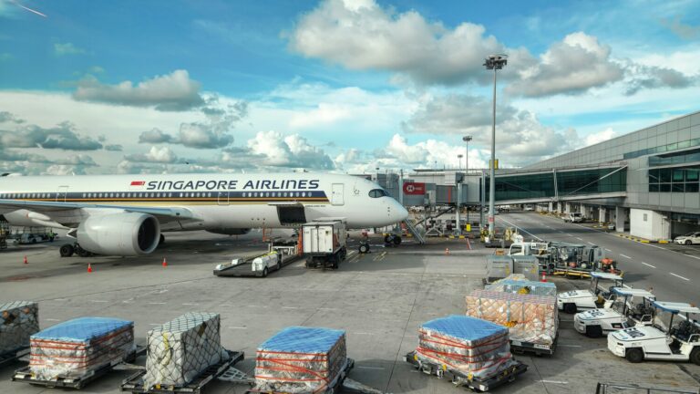 Sushi in Singapore : Fresh seafood flown from Tokyo to Changi Airport for same-day dining