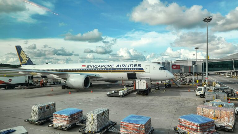Omakase In SG : Specialised cargo holds maintain seafood freshness during long-distance transport