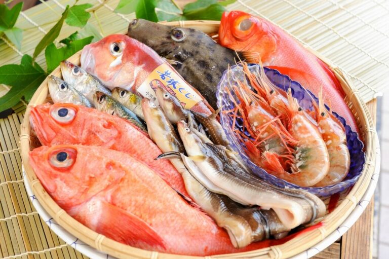 The image showcases a fresh seafood display featuring premium cuts sourced from Tokyo's fish markets, artfully arranged to highlight the exquisite flavors and rich textures. This culinary journey invites diners to experience a sophisticated dining experience, reminiscent of fine dining restaurants in Singapore.