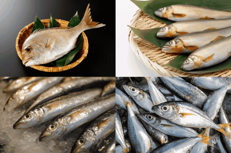 Collage of four images showcasing seasonal Japanese fish at peak freshness—each quadrant representing spring, summer, autumn, and winter through traditional presentation styles like woven baskets, crushed ice, and leaf-lined trays. A visual embodiment of shun, the Japanese culinary principle of honoring seasonal abundance and ingredient purity in pursuit of authentic dining excellence.