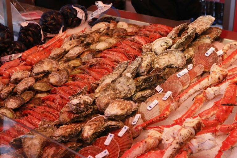 Japanese Food in SG : Fresh ingredients flown directly from Japan displayed on ice—glossy cuts of sashimi, and fine seafood ready for preparation