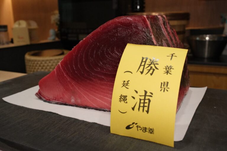 Freshly imported Japanese fish displayed with pristine clarity, reflecting its superior quality and ocean-bright freshness.