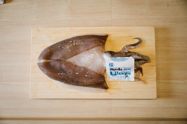 Fresh Japanese squid, flown directly from Japan, presented at Sushi Masa with its natural shine and pristine texture highlighted.
