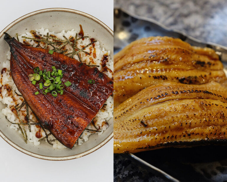 Two Japanese eel dishes served side by side, featuring glossy grilled unagi and lighter-coloured anago, each carefully plated to highlight the contrast in texture and flavour between freshwater and saltwater eel.