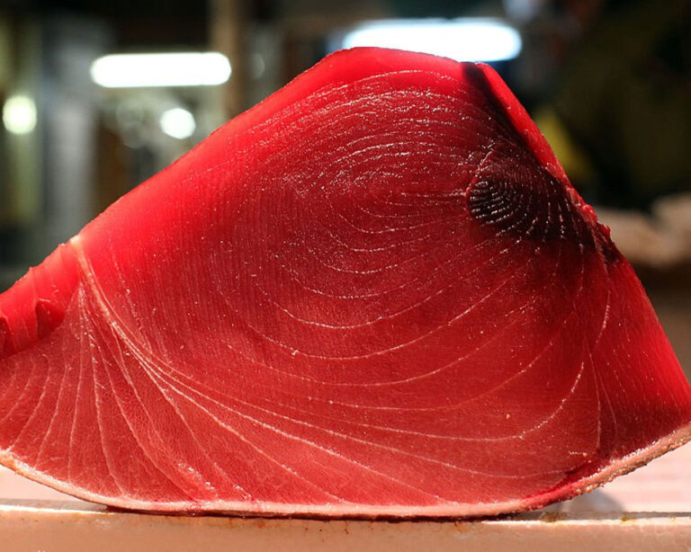 Fresh whole tuna displayed at a seafood counter, its skin glistening under soft lighting, representing premium quality and careful handling from ocean to kitchen.