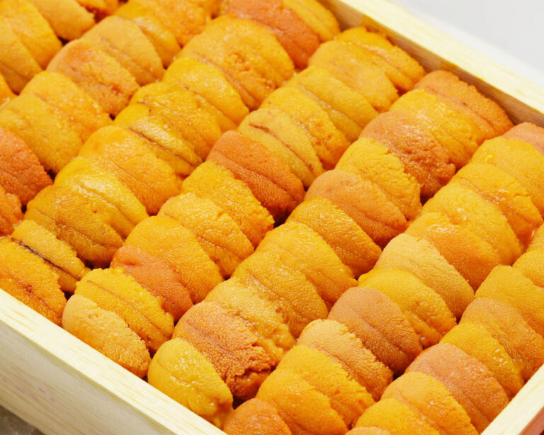 Close-up of a whole sea urchi, highlighting its natural shape and ocean origin.