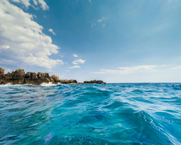 A wide view of the Mediterranean Sea with deep blue water stretching to the horizon, reflecting sunlight and creating a calm, natural setting where many tuna species migrate and are harvested.