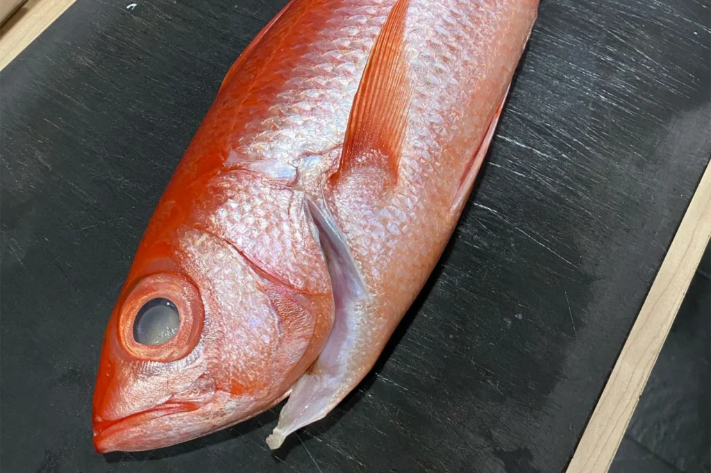 A whole, fresh Kinmedai (Splendid Alfonsino) with bright red scales and large eyes resting on a black prep surface.