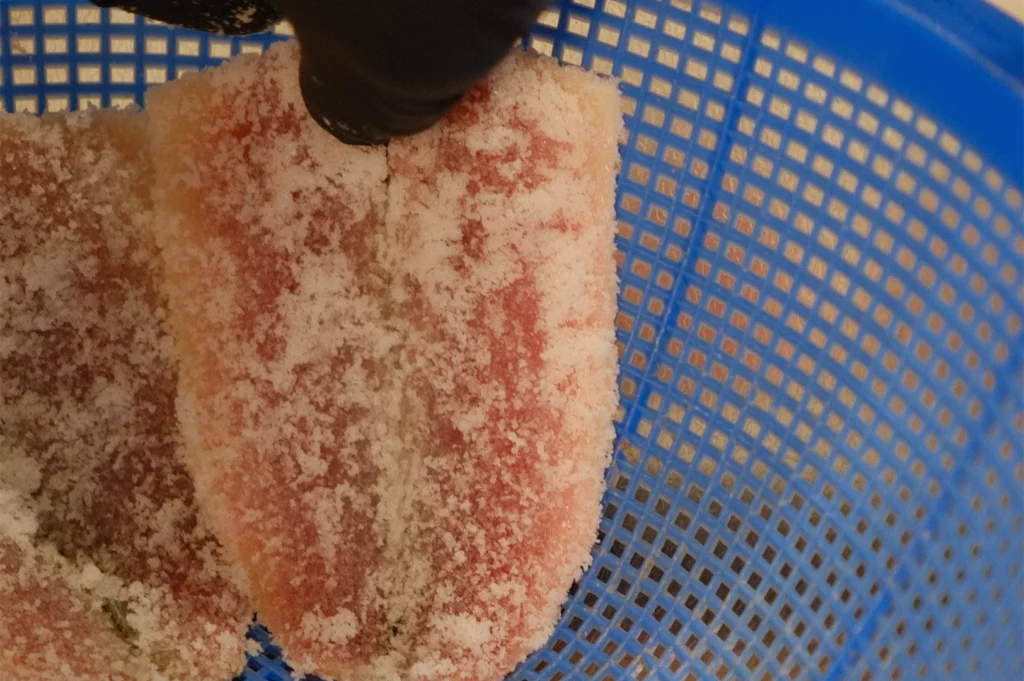 Close-up of fresh fish fillets being cured with a heavy layer of sea salt in a blue straining basket for Edomae sushi preparation.