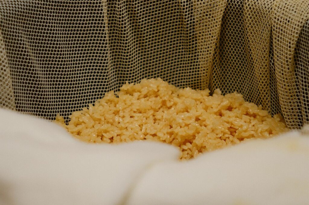 A close-up of seasoned Shari (sushi rice) resting in a traditional cloth-lined wooden container, showing a light brown hue from red vinegar.