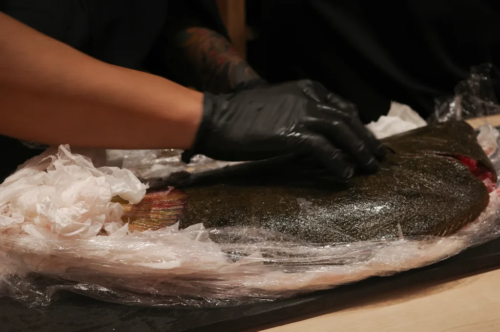 Close-up of a chef in black gloves carefully handling a large, fresh Hirame flounder wrapped in plastic on a wooden workstation.