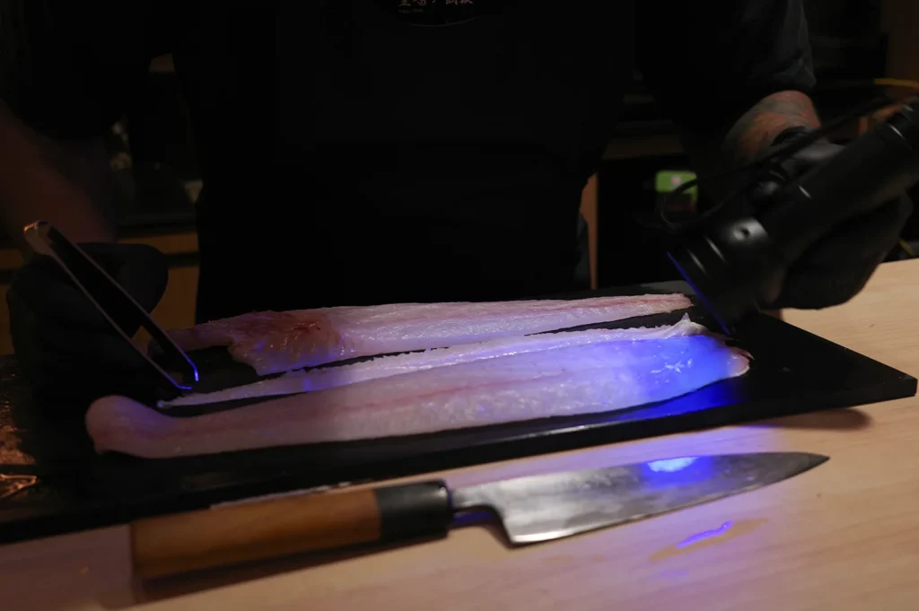 A chef using a UV flashlight and tweezers to inspect fresh fish fillets for parasites to ensure food safety in a professional kitchen.