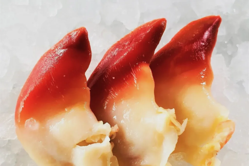 Close-up of three pieces of bright red and creamy white shellfish, likely surf clams, on a bed of crushed ice, evoking freshness and seafood delicacy.