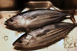 Two fresh silver fish on a metal surface, surrounded by ice. The fish are gleaming, showcasing moisture and freshness, suggesting a market setting.