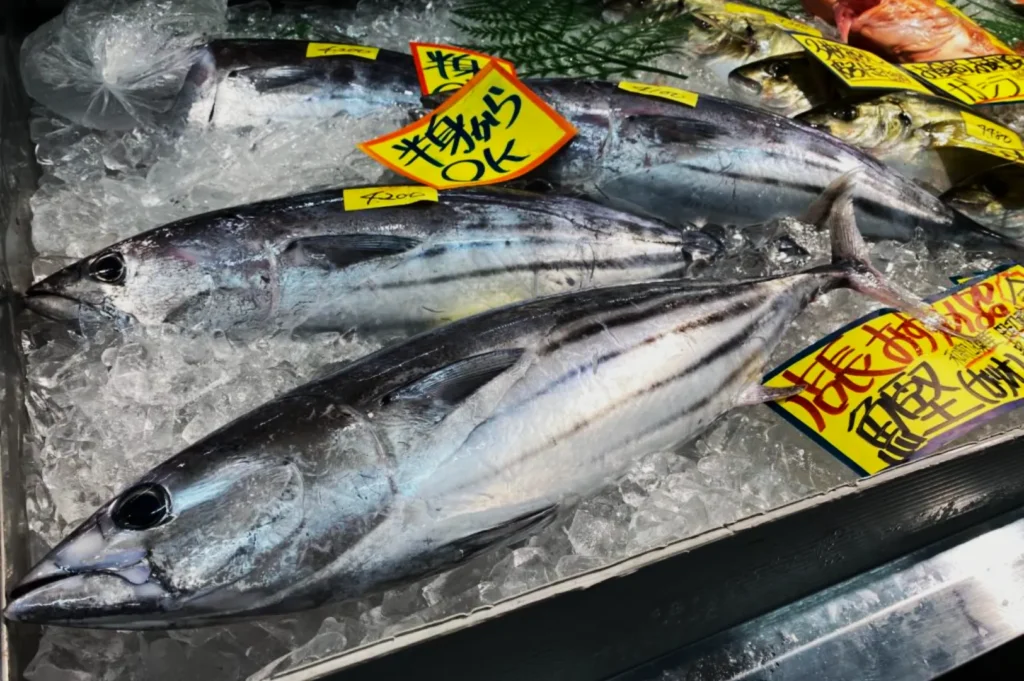 Fresh fish on display on a bed of ice at a market, with yellow price tags in Japanese. The scene evokes a sense of freshness and abundance.