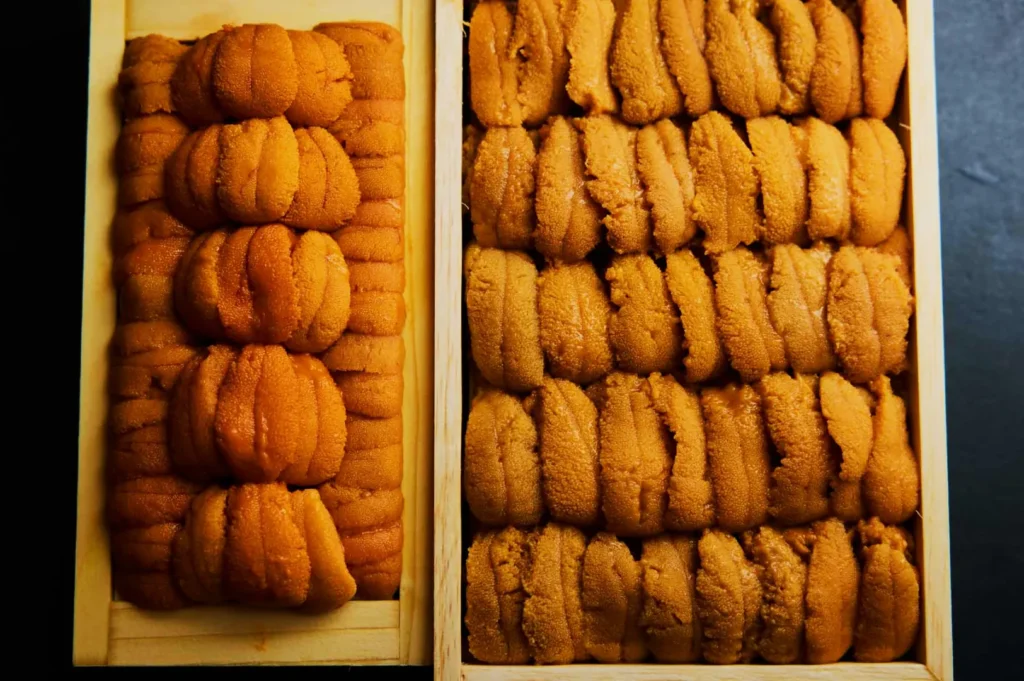 Two wooden boxes filled with neatly arranged, bright orange sea urchin roe (uni) against a dark background, showcasing a fresh, luxurious seafood delicacy.