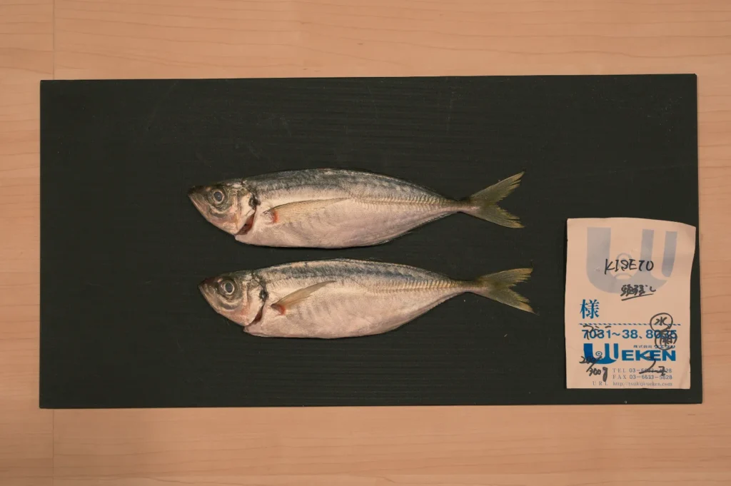 Two fish displayed on a black surface with a label next to them.