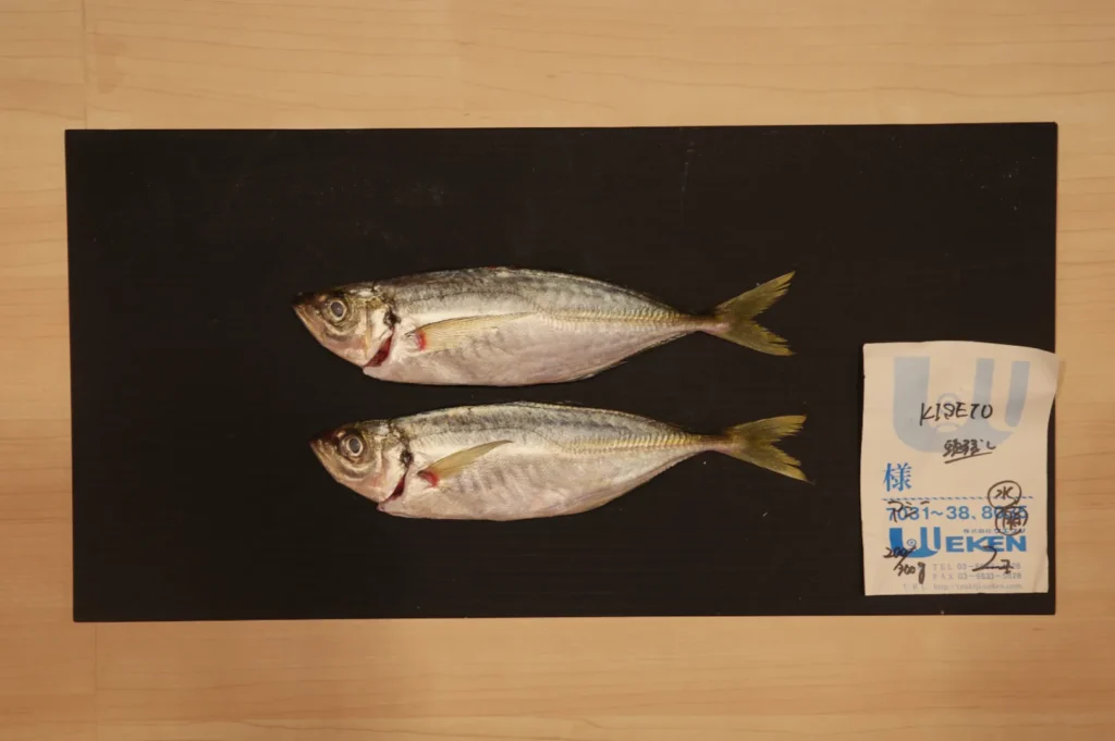 Two fish laid on a black background, with a label next to them.