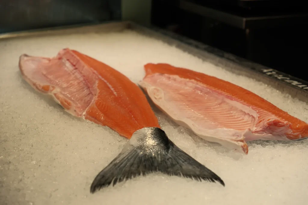 Two pieces of salmon fish fillet placed on a bed of ice.