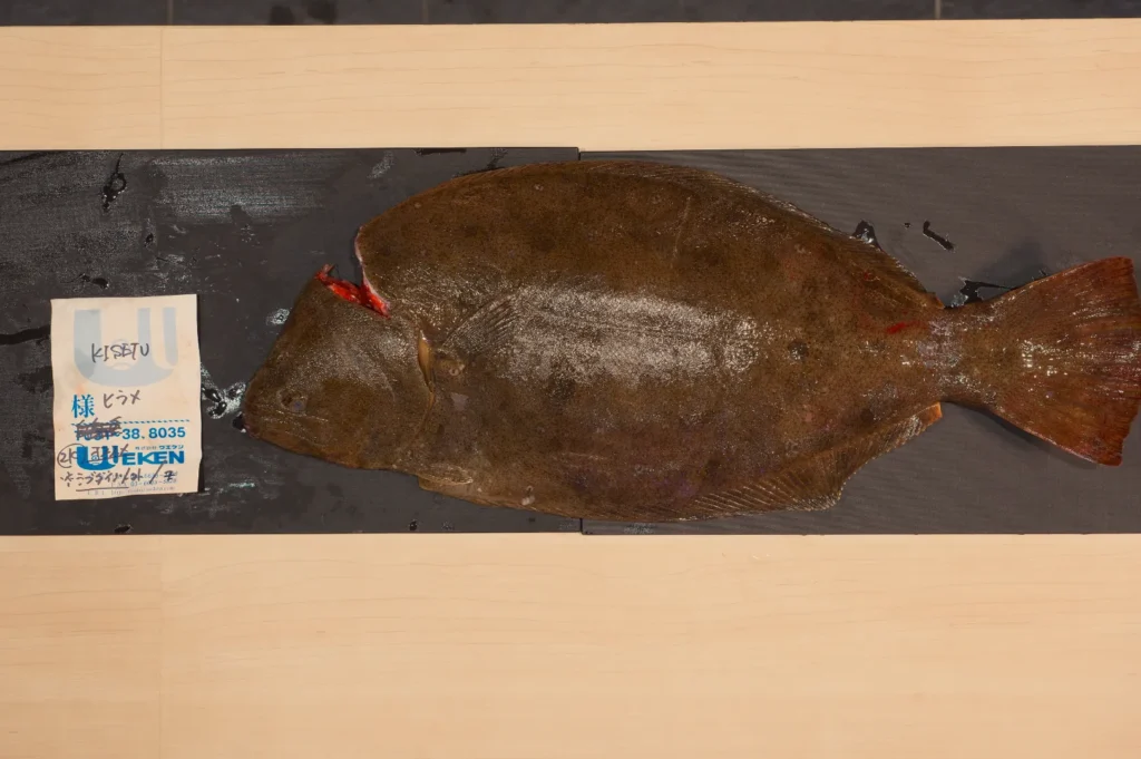 A large brown flatfish rests on a dark display board, showing mottled skin, reddish fins and tail, beside a Japanese identification label.