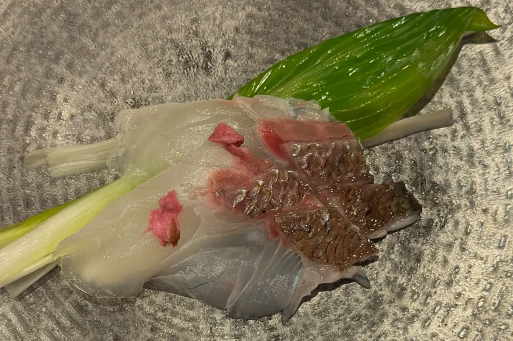 Close-up of a translucent, pale fish-like specimen with red tissue and brown clustered structures, resting beside glossy green leaves on textured fabric.