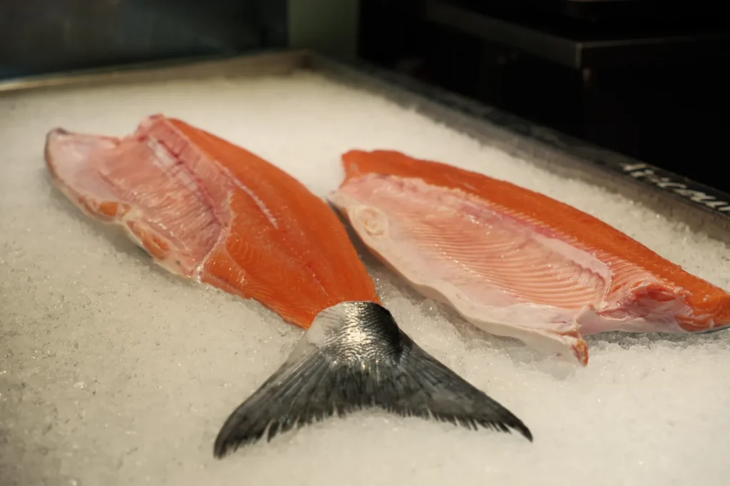 A close-up view of two fillets of salmon on a bed of ice. The fillets are vibrant orange with a silver tail.