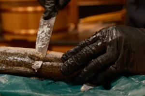 A black-gloved hand steadies a fish on a teal-covered surface as a knife cuts into it; warm indoor lighting gives the scene a focused, practical tone.
