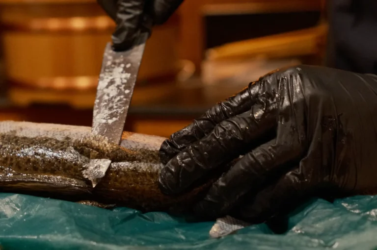A black-gloved hand steadies a fish on a teal-covered surface as a knife cuts into it; warm indoor lighting gives the scene a focused, practical tone.