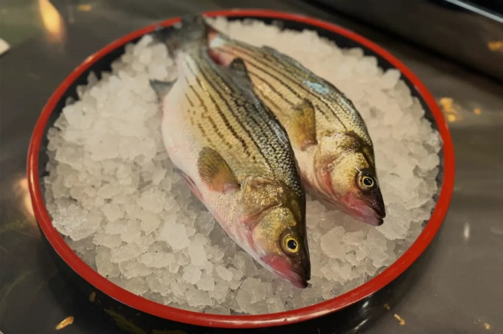 Two fresh whole fish with golden, striped scales rest side by side on crushed ice in a round, red-rimmed platter, suggesting a seafood display.