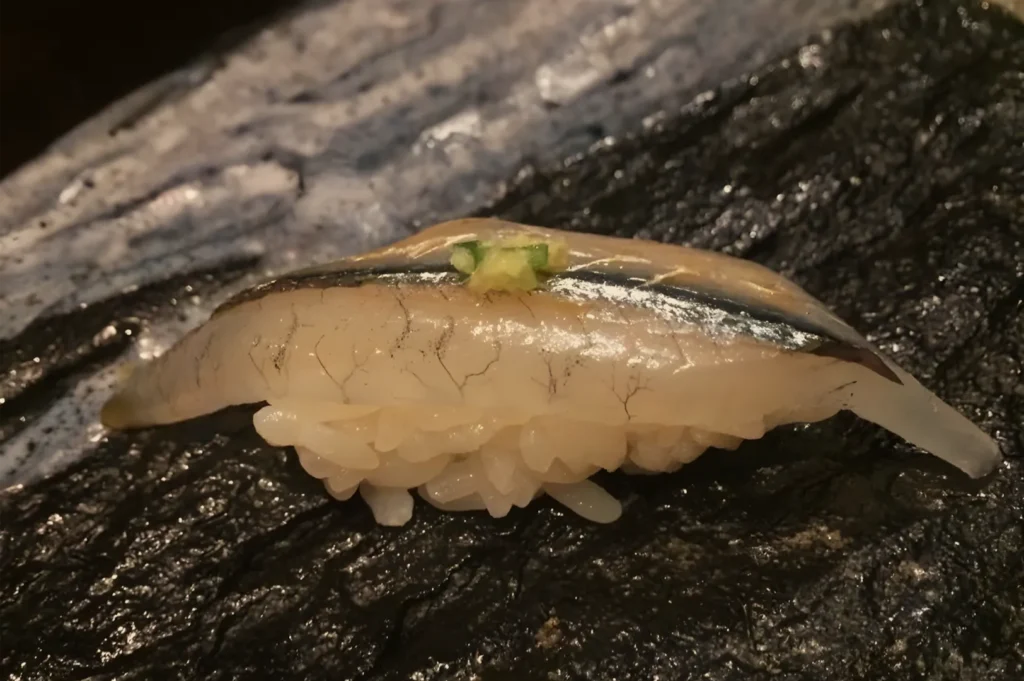 A pale, translucent sea slug rests on wet black rock, its frilled underside and branching internal markings visible; a small green patch adds contrast.