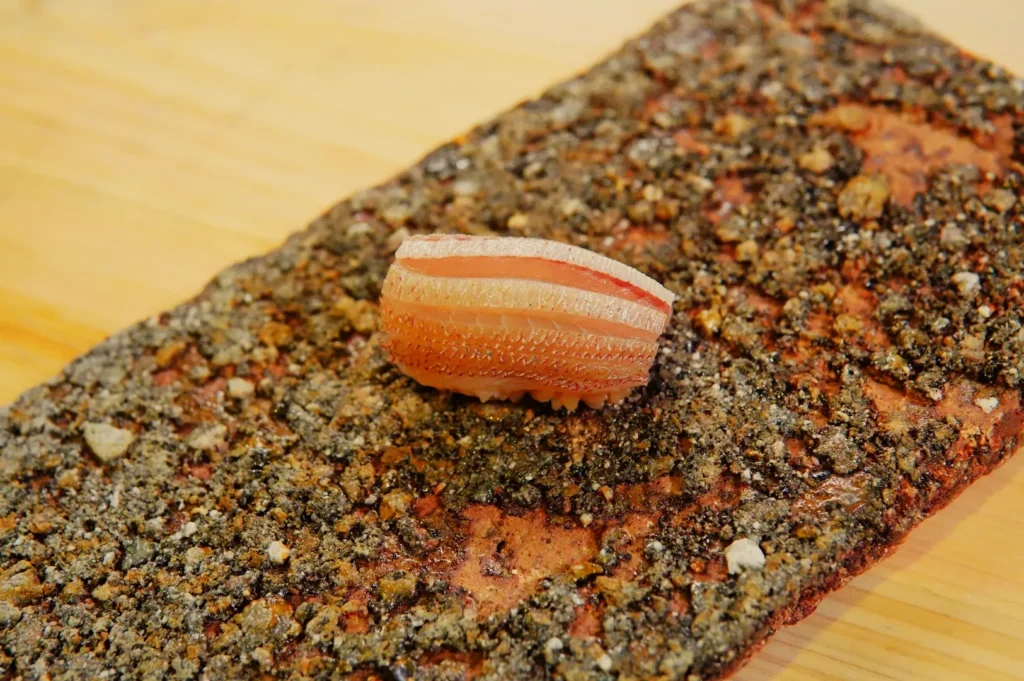 A small orange-and-cream striped shell rests on a rough, multicolored stone slab against a warm wooden background, creating a calm, natural still life.